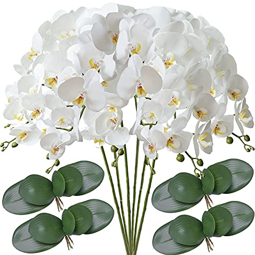 White+green