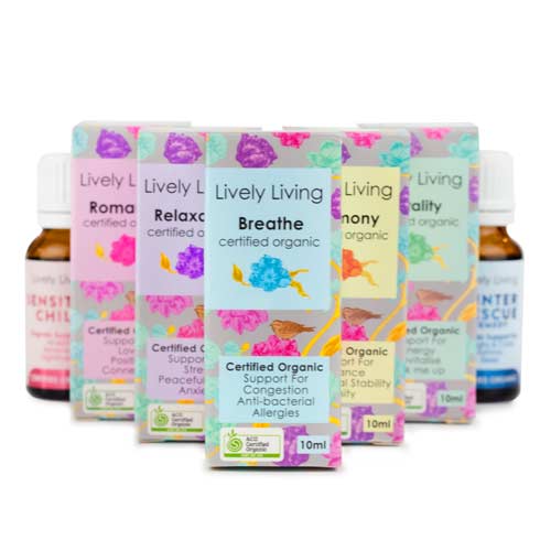 Everyday Essentials Collection - Must-Have Home & Office Supplies for Daily Use | Perfect for Work, School & Household Organization