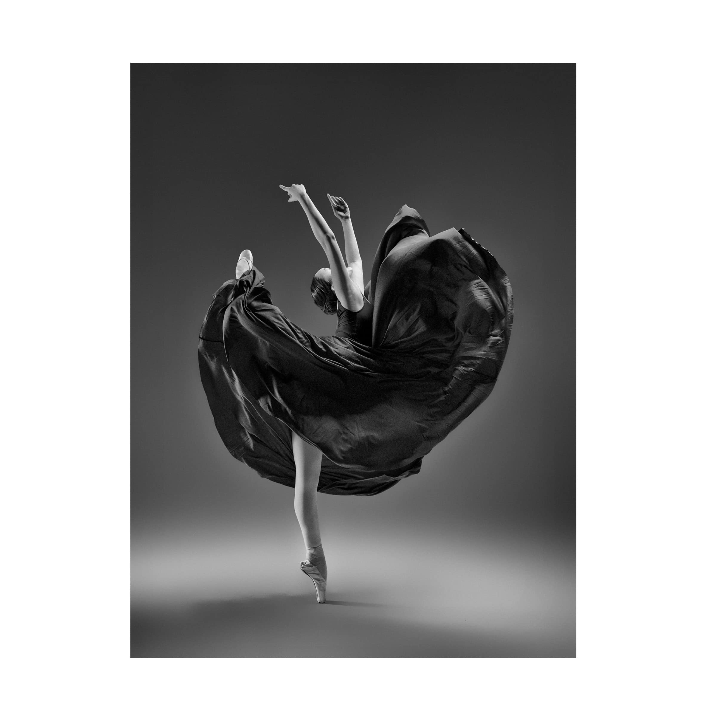 Trademark Fine Art 'The Dress' Canvas Wall Art by Rob Li - Elegant Home Decor for Living Room, Bedroom & Office