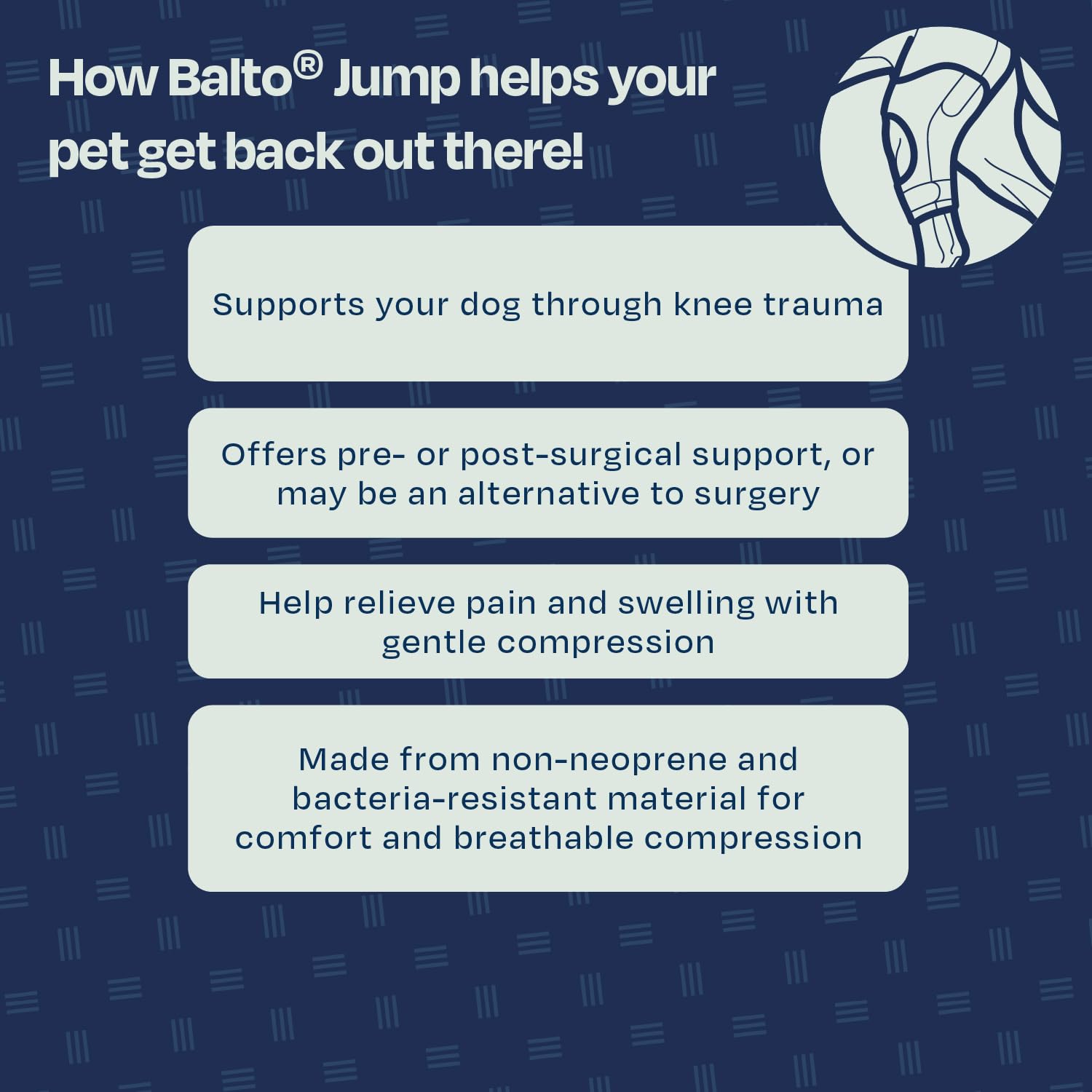 Balto Jump CCL Brace for Dogs – Adjustable Knee Support with Aluminum Splints – Pre & Post-Surgery Recovery Aid – Prevents Reinjury – Left Leg, XXS – Ideal for Active Dogs & Post-Op Care