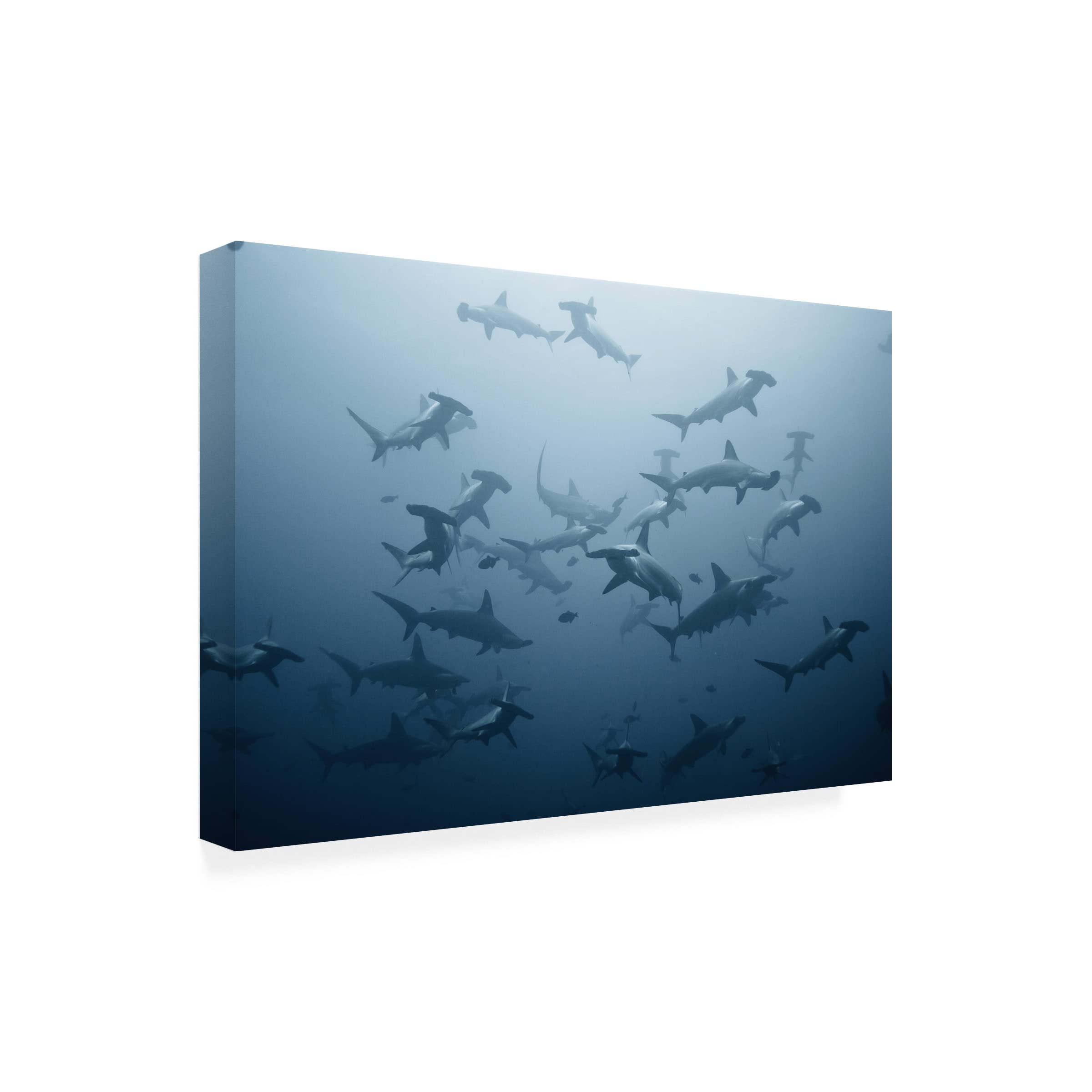 Alexander Safonov 'Swarming' Canvas Wall Art Print - Modern Abstract Painting for Living Room, Bedroom & Office Decor