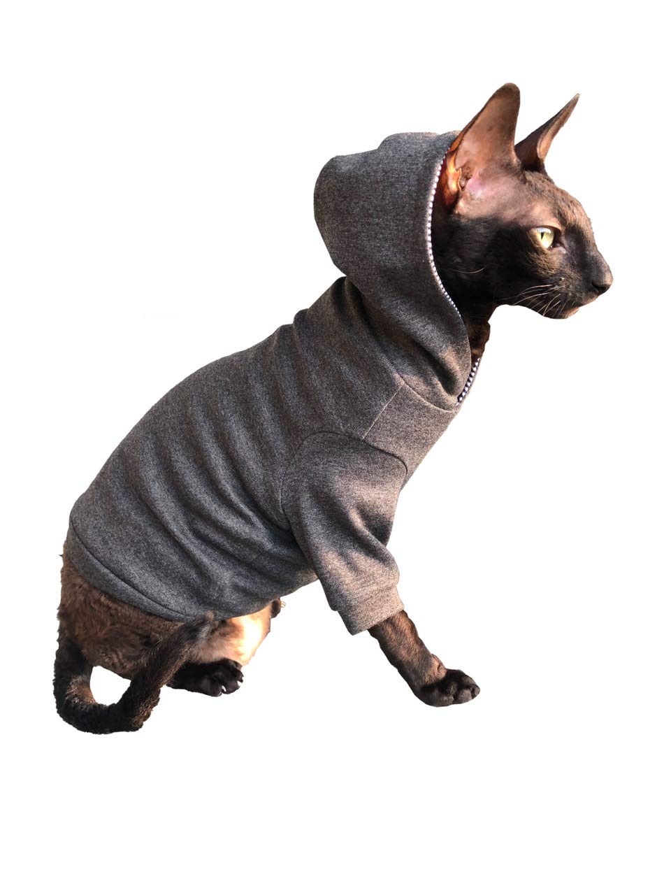 Dark Grey Sphynx Cat Hoodie - Home Sweet Home Print | Soft & Comfortable Cat Clothes for Hairless Cats (XS) | Perfect for Indoor Wear & Photo Shoots