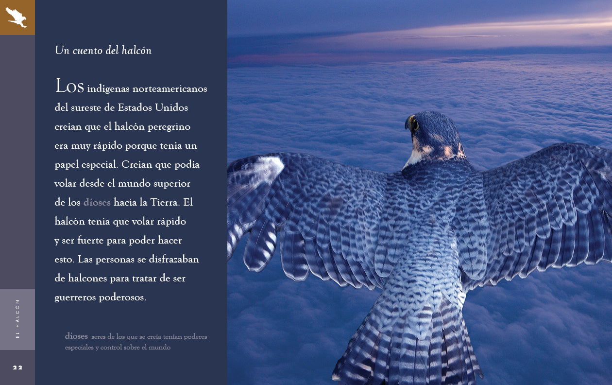El Halcon 9781640266902 - Spanish Language Book for Adventure Lovers - Perfect for Reading, Gifts & Book Clubs