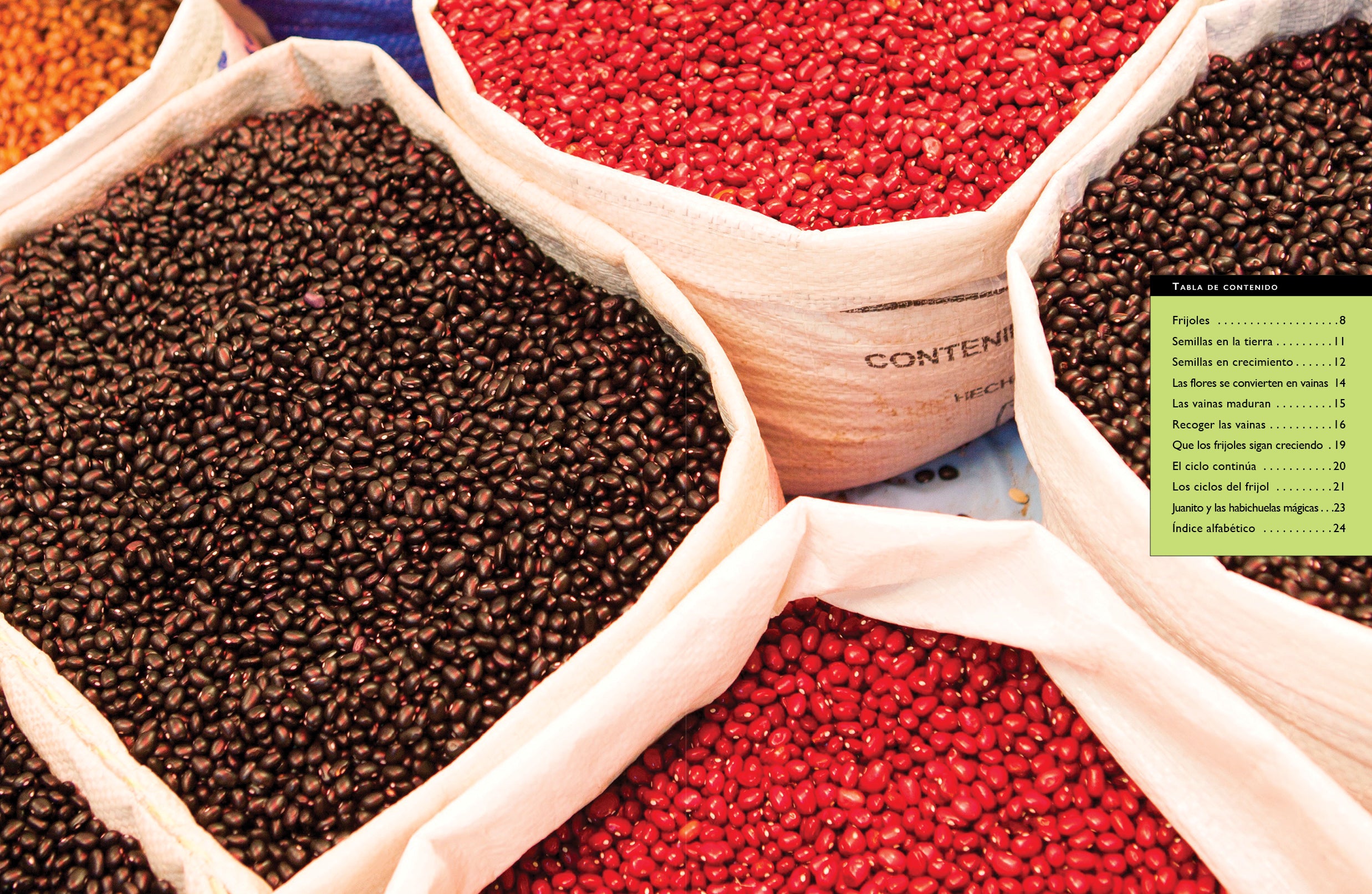 Organic Black Beans 16oz - Non-GMO, Gluten-Free, High Protein & Fiber - Perfect for Soups, Salads, and Mexican Dishes