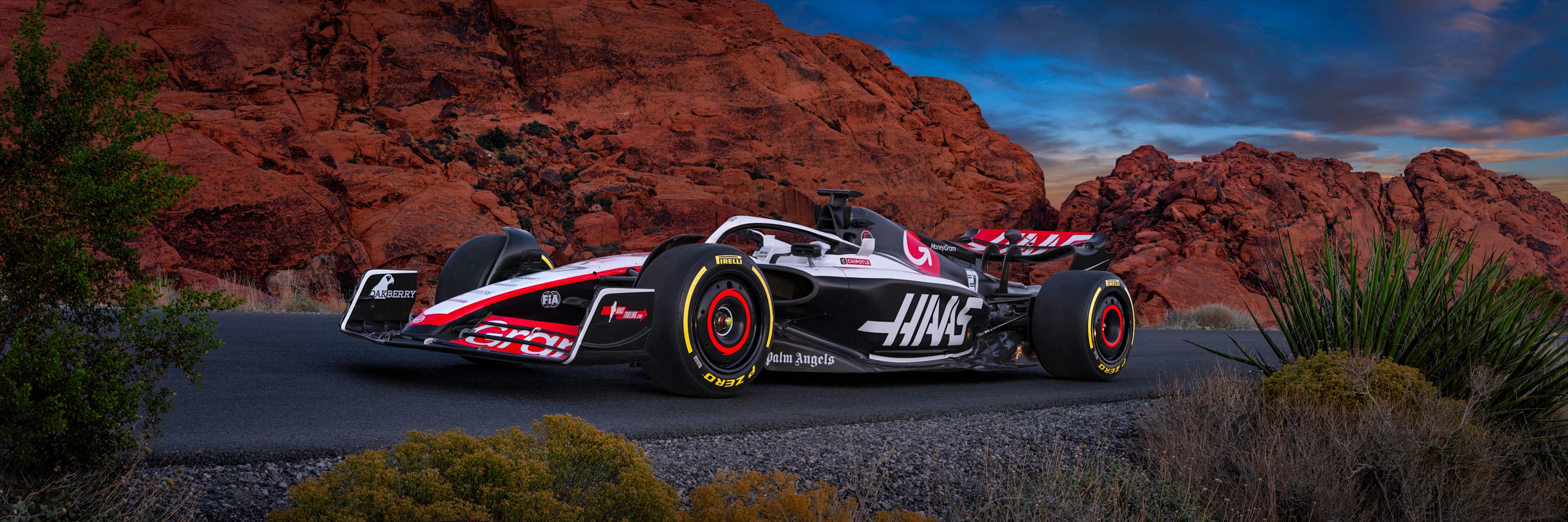 Haas Racing Collection - Premium Canyon Racer Jacket for Men & Women | High-Performance Motorcycle Gear for Racing & Outdoor Adventures
