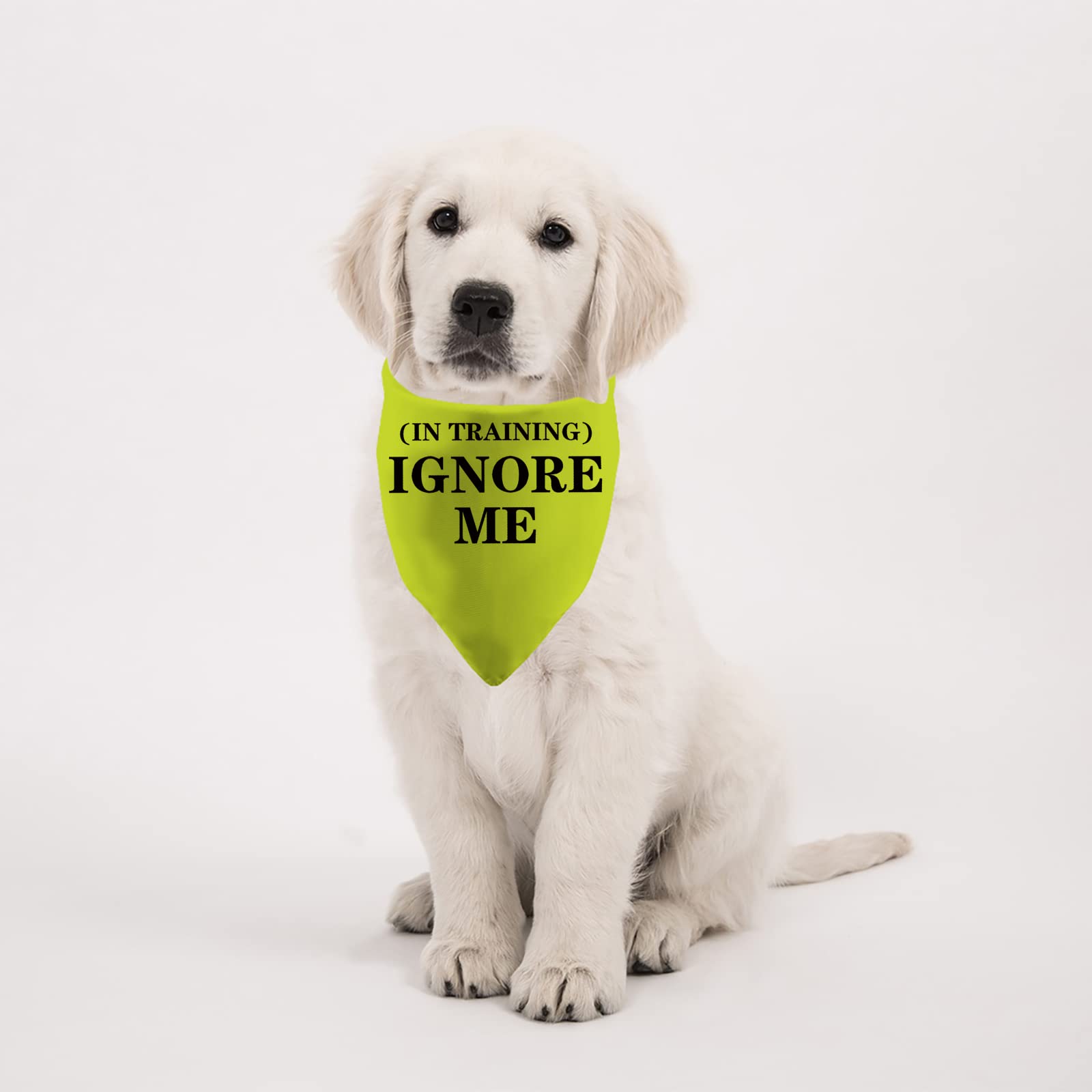 PWHAOO 1 Piece Yellow Dog Bandana for Training - Anxious & Reactive Dog Bandana with 'Ignore Me' Print | Perfect for Obedience Classes, Walks & Socialization