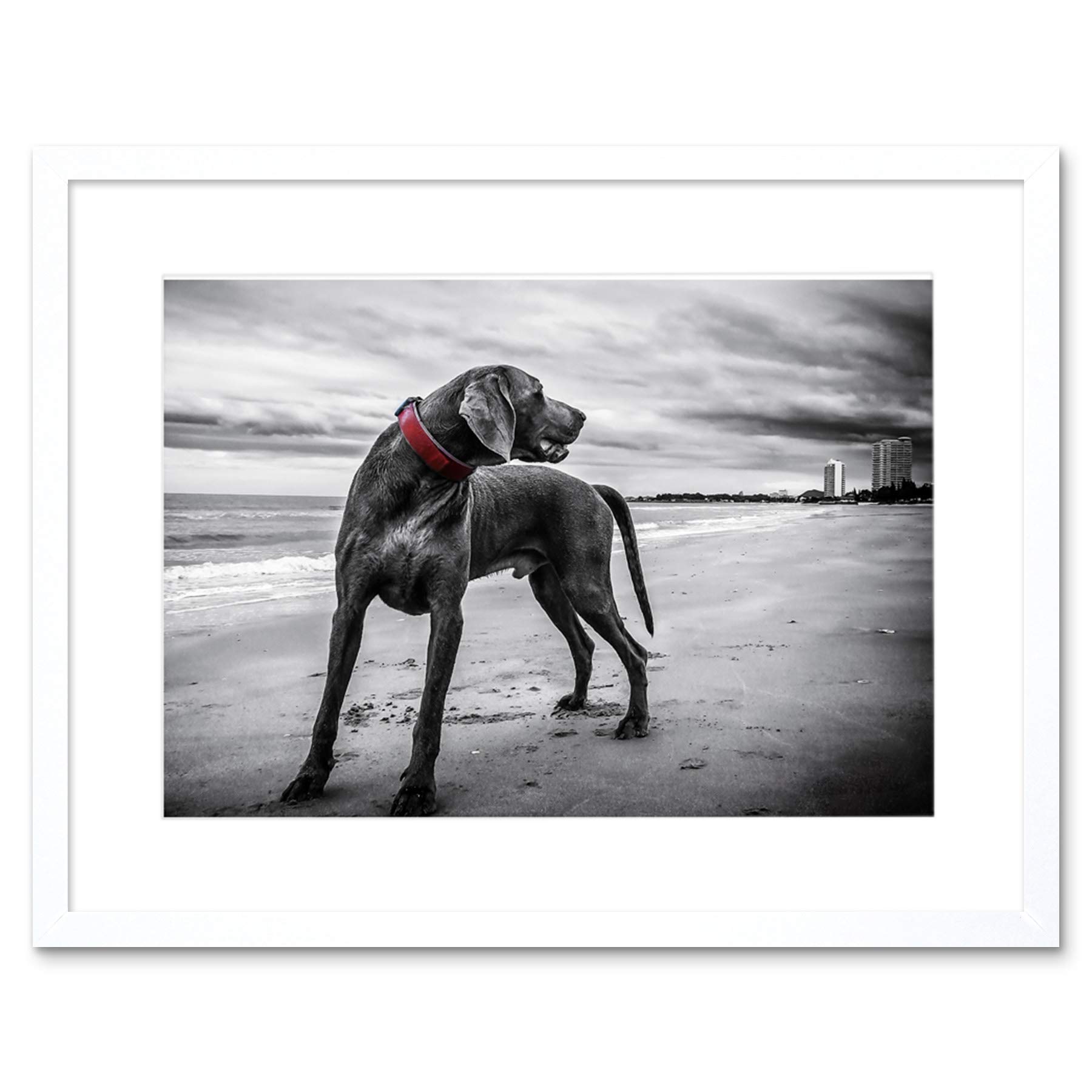 **Weimaraner Dog Beach Black and White Framed Wall Art Print - Perfect for Living Room, Bedroom, or Office Decor**