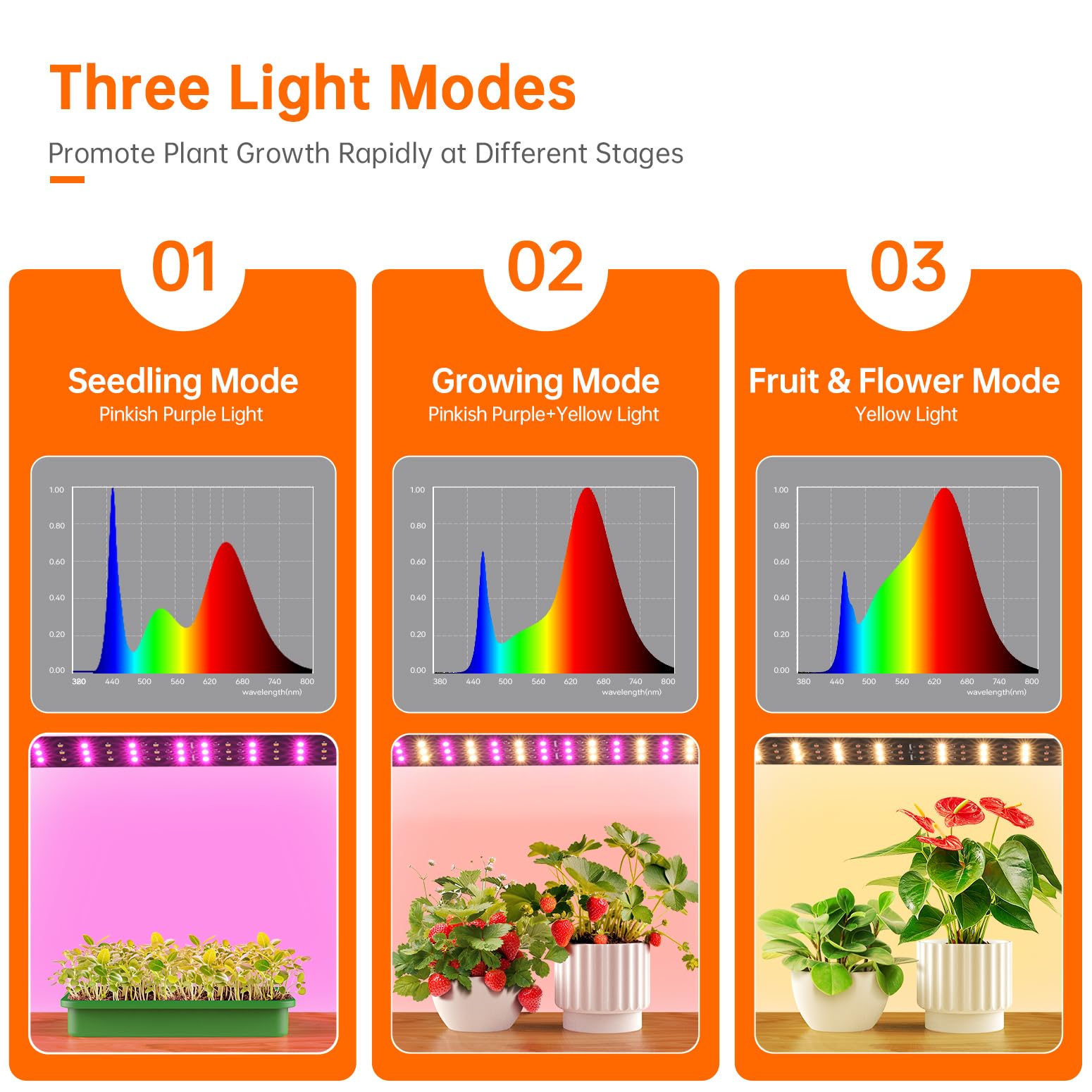 Walk In Greenhouse with Grow Lights - 56.3