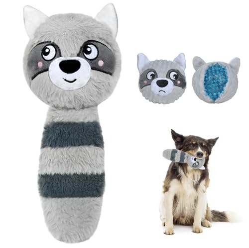 Grey Raccoon