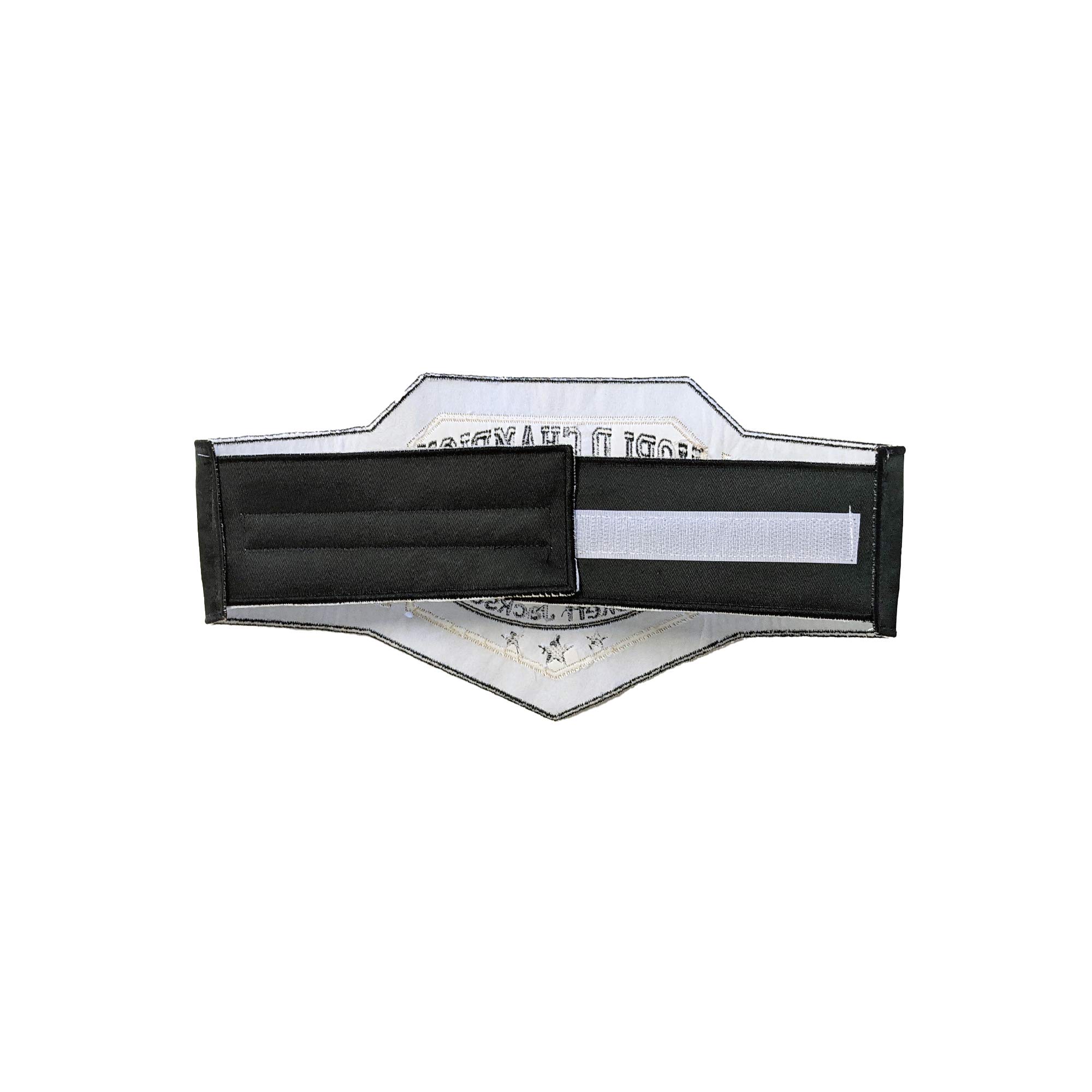 Everfan Personalized Wrestling Championship Belt - Custom World Champion Wrestler Costume Belt for Kids & Adults - Perfect for WWE Cosplay, Halloween Costumes & Sports Awards