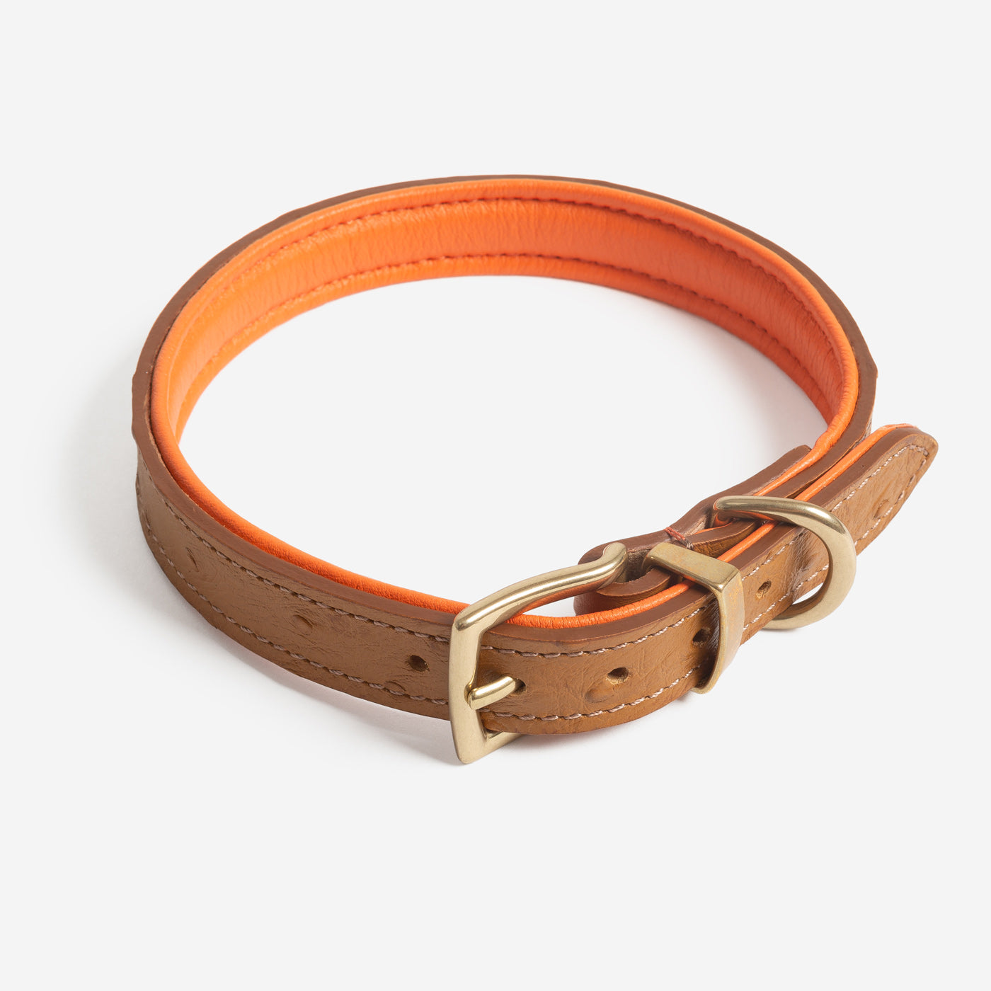 Premium Ostrich Leather Dog Collar - Tan & Orange - Handcrafted Luxury Pet Accessory by Lords & Labradors - Perfect for Daily Walks, Training & Stylish Outings