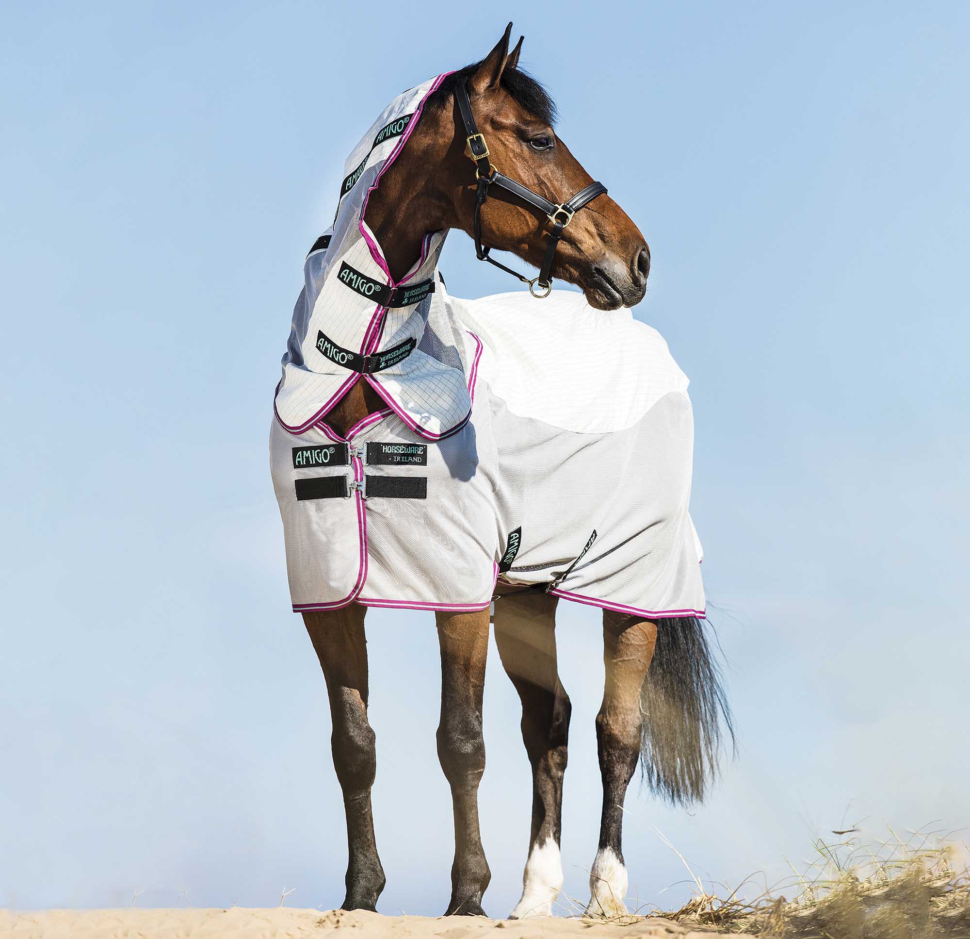 Amigo Airflow Horse Sheet - Breathable & Lightweight for Summer Riding - White, Green, Purple, Mint - Perfect for Trail Riding & Training