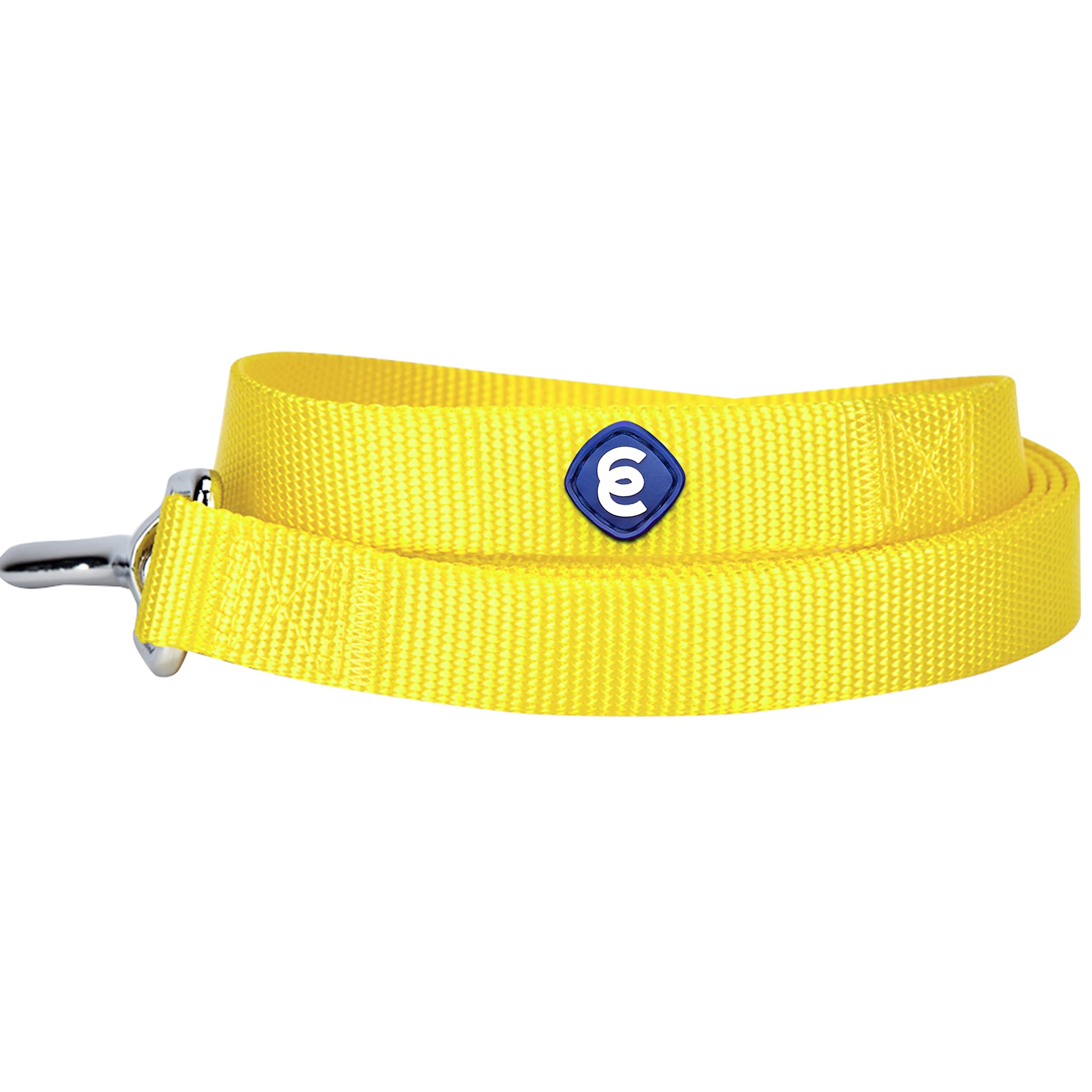 Premium Durable Nylon Dog Leash for Small Dogs - 5ft x 3/8