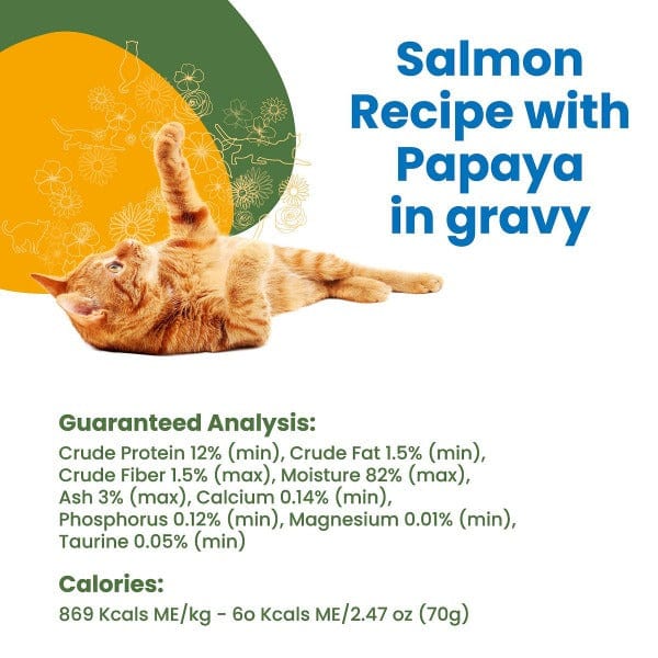 Premium Almo Nature HQS Complete Salmon & Papaya in Gravy Canned Cat Food - High Protein Wet Food for Adult Cats, Kittens & Senior Cats - Perfect for Mealtime, Travel & Emergency Pet Supplies