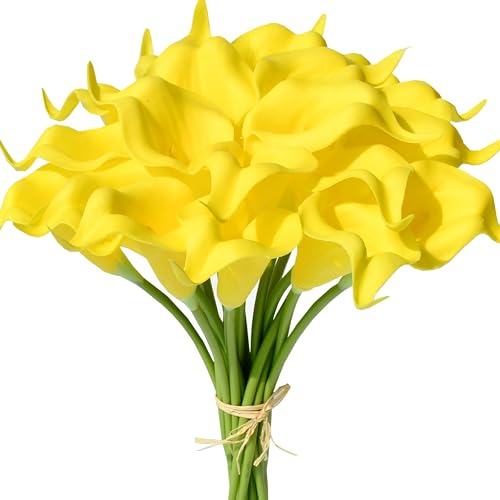 Pure Yellow