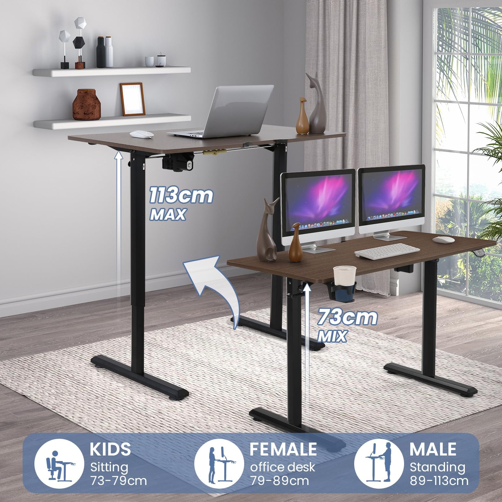 Himimi Electric Height Adjustable Desk 110 x 60 cm - Ergonomic Standing Work Table with 4 Memory Presets, Sit Stand Computer Desk for Home Office, Gaming & Workspace