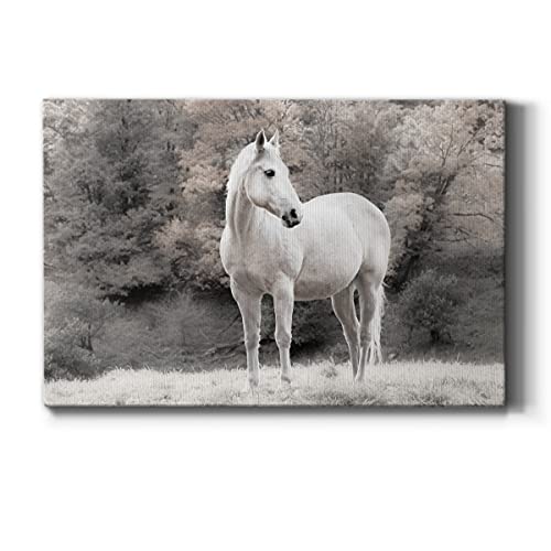 White Mare