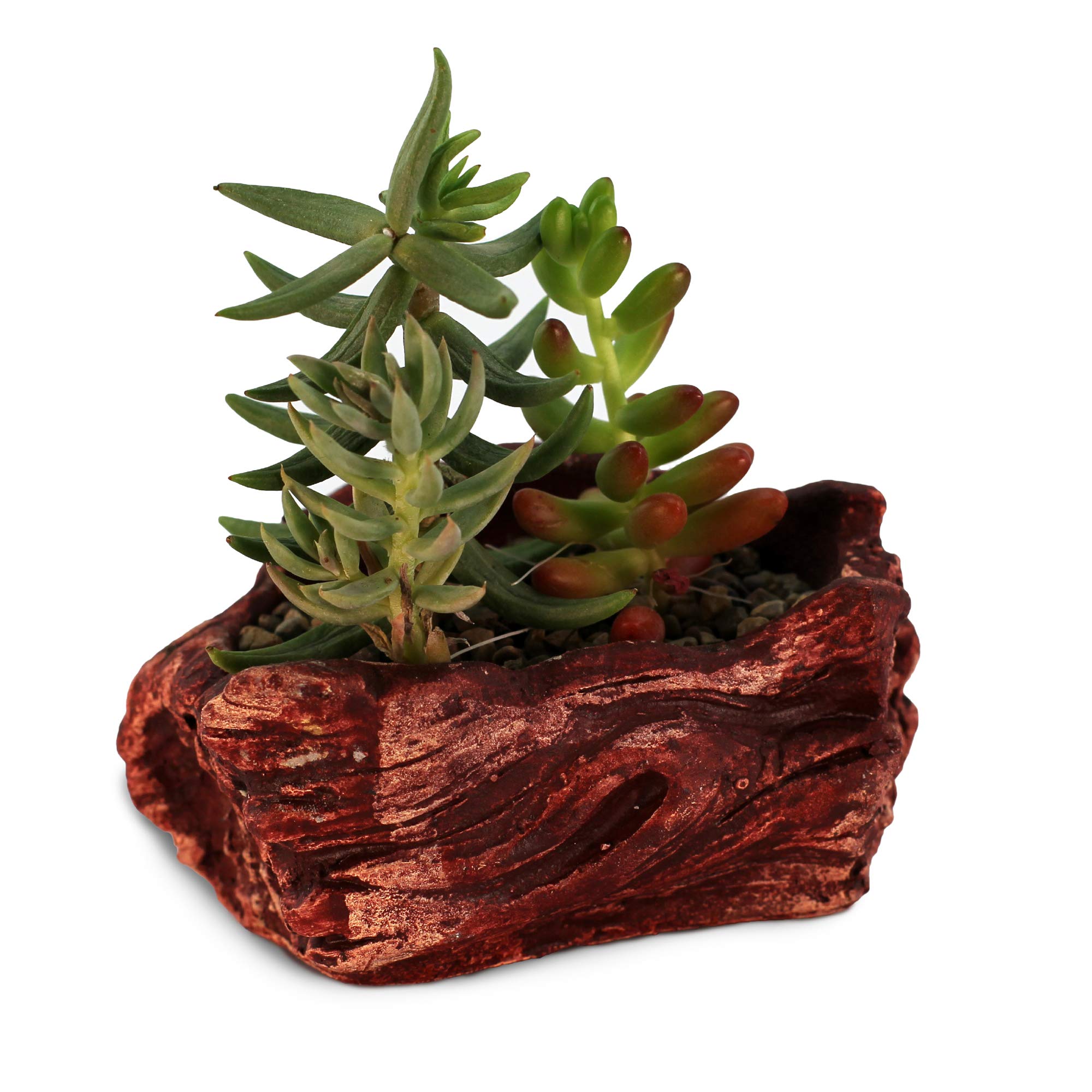**Handmade Ceramic Wood Planter Pot - Indoor/Outdoor Log Planter for Succulents, Flowers & Small Plants (Redwood Wave) - Perfect for Home Decor, Office Desk & Garden**