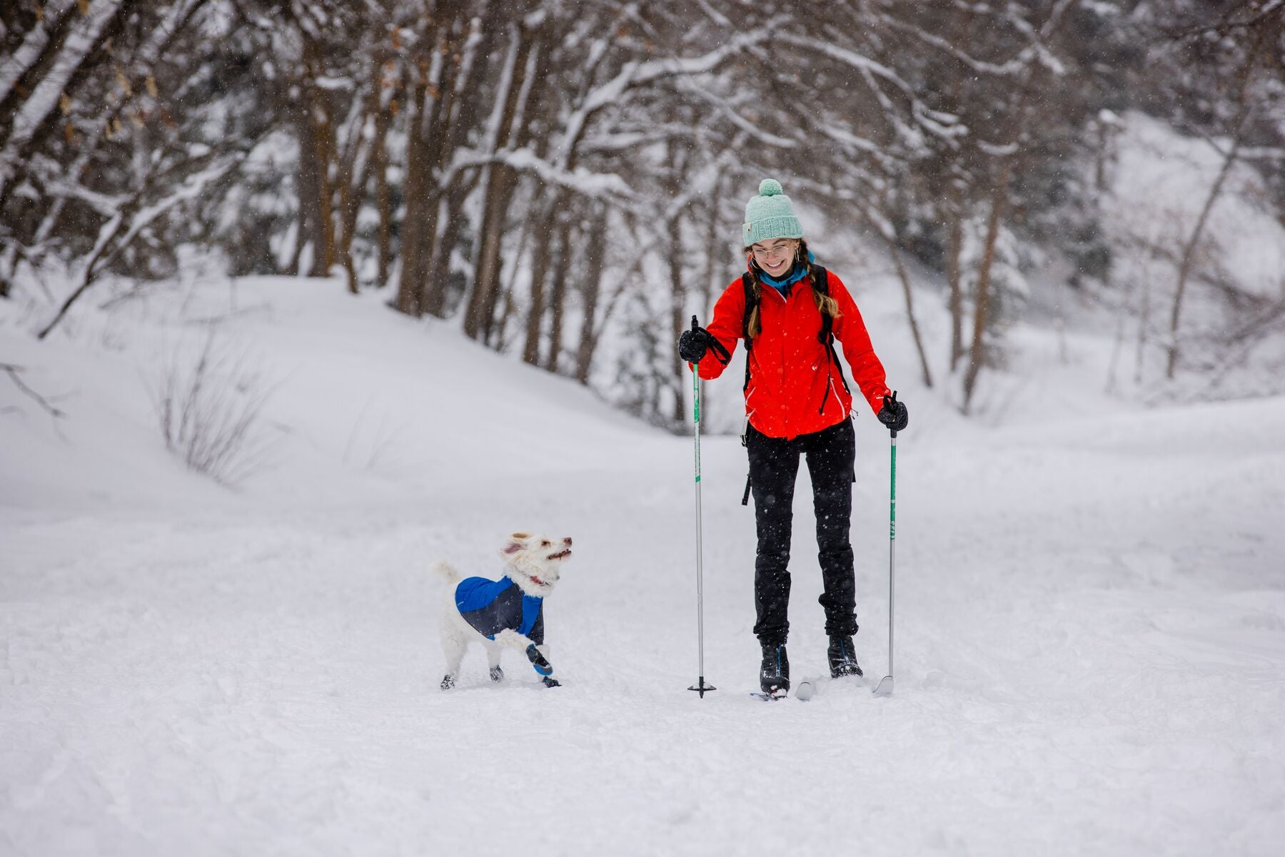 Ruffwear Powder Hound Hybrid Dog Jacket - Waterproof & Insulated Winter Coat for Active Dogs (Persimmon Orange) - Perfect for Hiking, Snow Play & Outdoor Adventures
