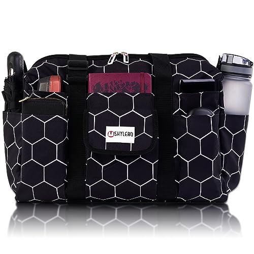 Black Bee Hive