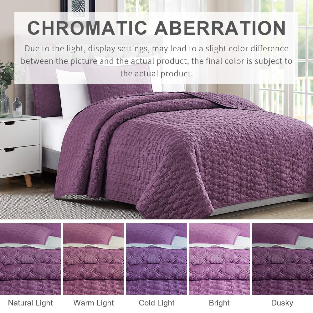 BOURINA 2-Piece Twin Size Quilt Set - Soft Microfiber Bedspread with Sham (68