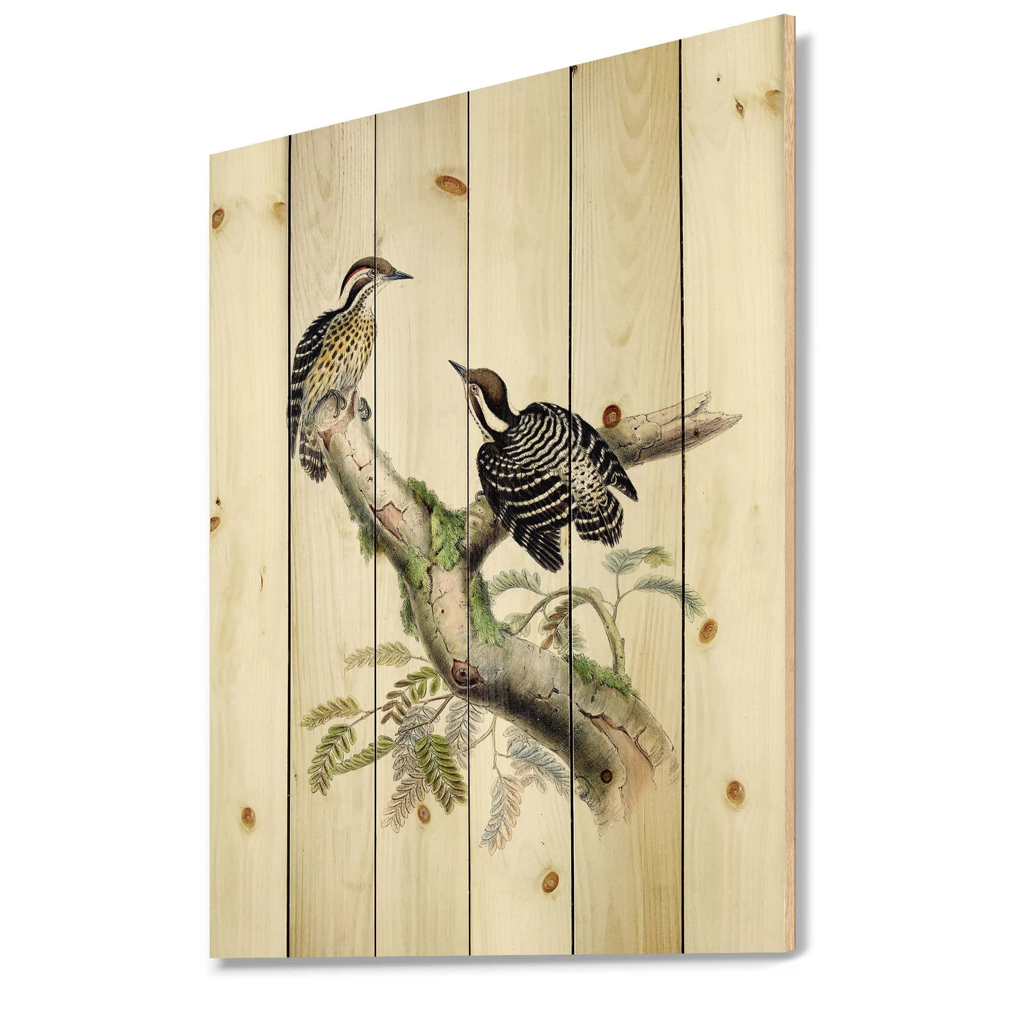 Vintage Birds In The Wild VIII Wood Wall Art - Traditional Brown Wooden Wall Decor, Large Animal Wall Panels Printed on Natural Pine - Perfect for Living Room, Bedroom & Office Decor