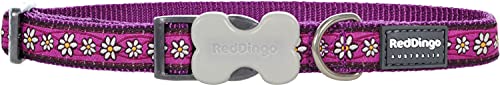 Daisy Chain Purple