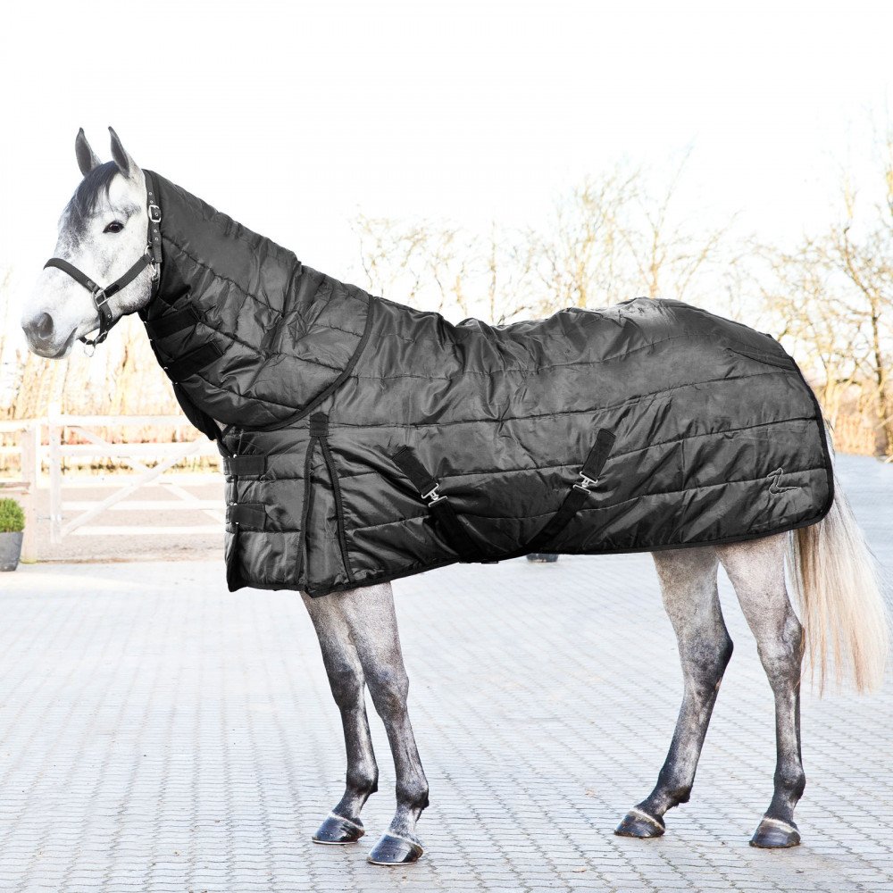 HORZE Nevada Medium Weight Stable Blanket 200g - Warm Horse Blanket for Winter, Turnout & Stable Use - Durable & Water-Resistant for All-Weather Protection