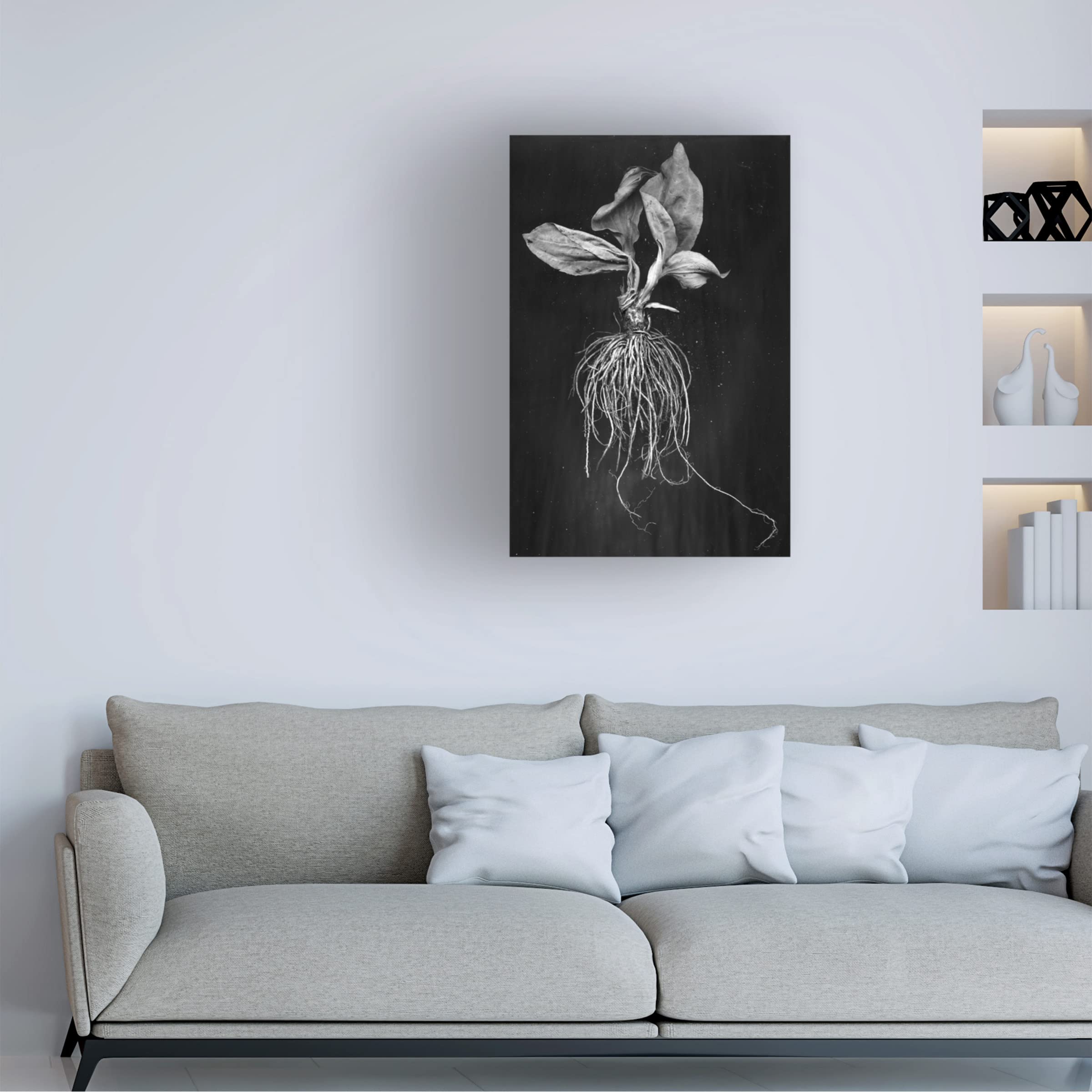 Trademark Fine Art 'Plantain' Canvas Wall Art by Brig Barkow - Modern Botanical Painting for Living Room, Bedroom & Office Decor