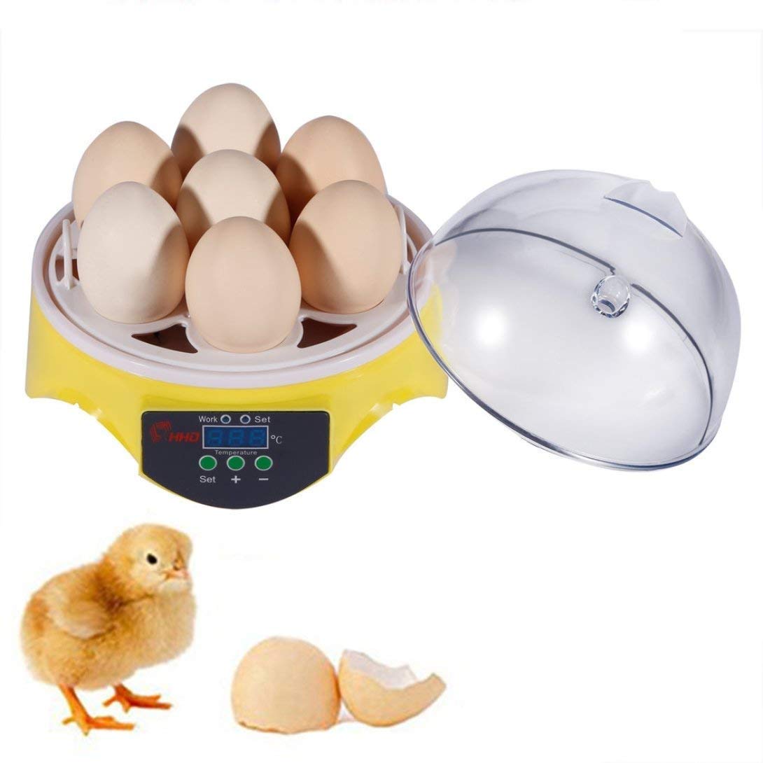 AWJ Mini Digital Egg Incubator - Automatic Egg Turner with Temperature Control for 7 Eggs, Perfect for Hatching Chicken, Duck & Bird Eggs | Ideal for Home Poultry Farming, School Projects & Backyard Hatcheries