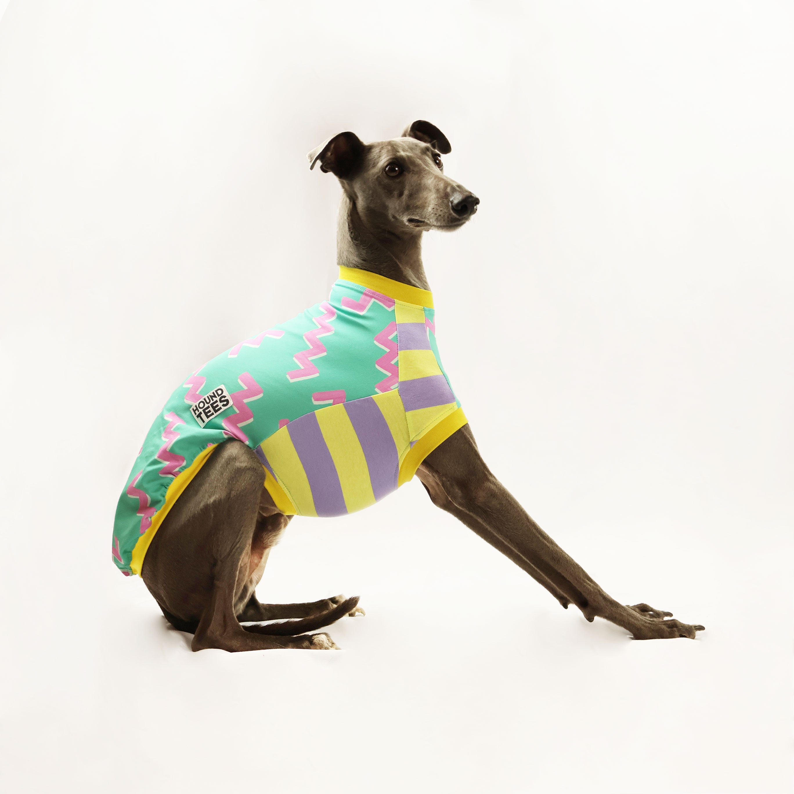 Zag Whippet Sleeveless Hound T-Shirt - Comfortable Dog Graphic Tee for Whippet Lovers - Perfect for Casual Wear, Dog Walks, and Pet Owner Gifts