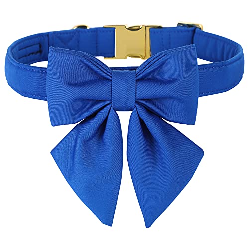 Klein blue