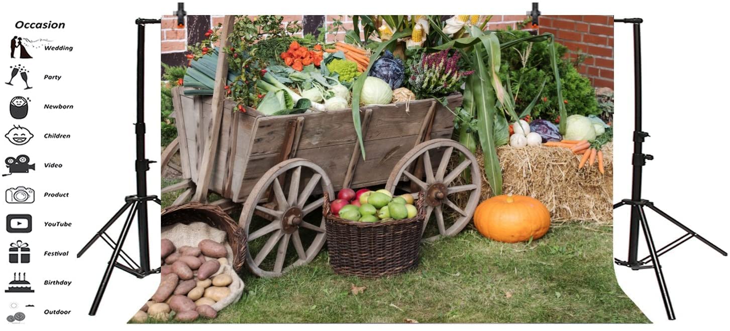 Yeele 15x10ft Autumn Harvest Festival Photography Backdrop - Fall Fruit & Vegetable Harvest Wood Cart Haystack Scene for Thanksgiving Party Decor, Photo Shoot Props | Perfect for Seasonal Events, Family Gatherings & Social Media Content Creation