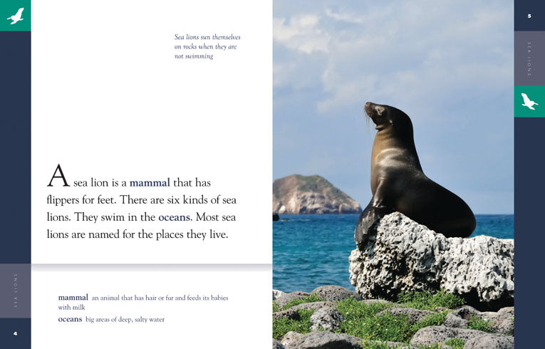 Amazing Animals (2014): Sea Lions - Educational Wildlife Documentary for Kids & Nature Lovers | Perfect for Classroom Learning & Family Movie Night