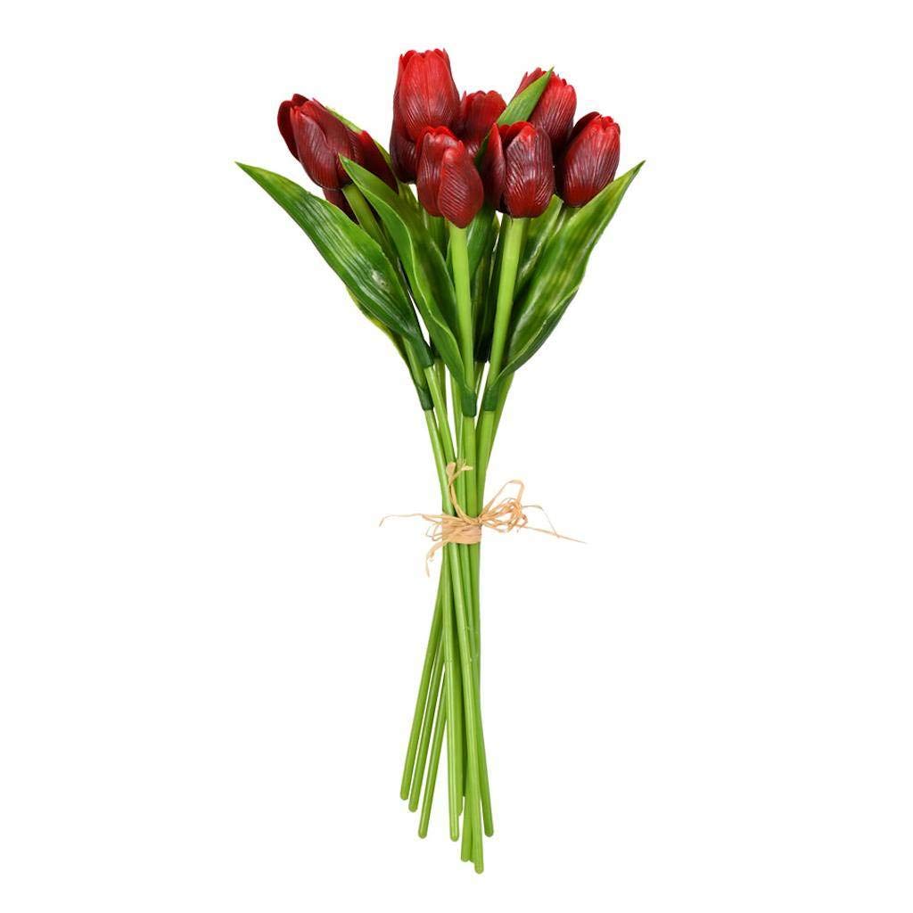14 Red Tulip Bulbs - Fresh Flowering Bulbs for Planting, Spring Garden Flowers (Pack of 2) - Perfect for Home Gardens, Landscaping & Gift Giving