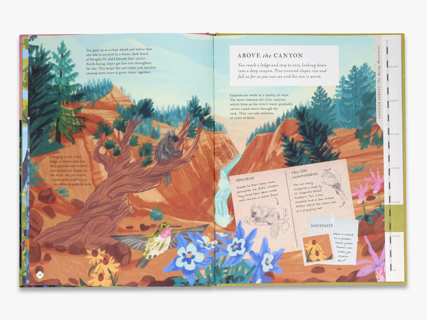 There's a Mountain in This Book - Interactive Children's Adventure Story for Kids | Perfect for Bedtime Reading & Classroom Storytime