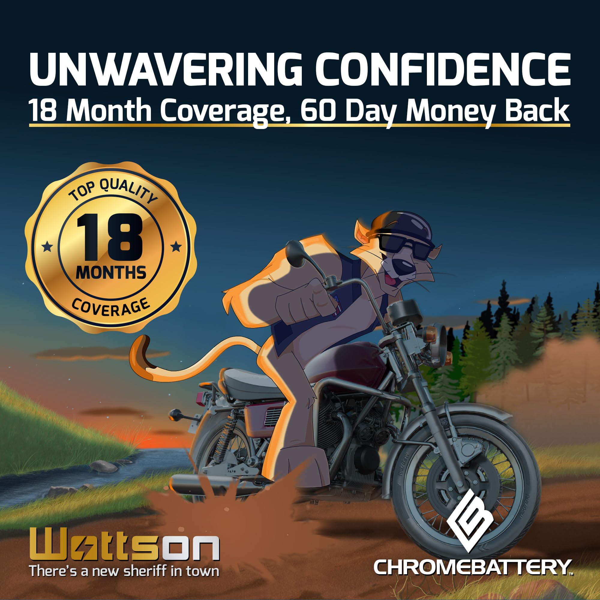 12V 10AH Chrome Battery Maintenance-Free Rechargeable Battery Pack (10 Pack) - T3 Nut & Bolt Terminal for Alarm Systems, Scooters, Power Wheels, Emergency Lights - Perfect for Home Security, Kids Ride-On Toys & Backup Power Solutions