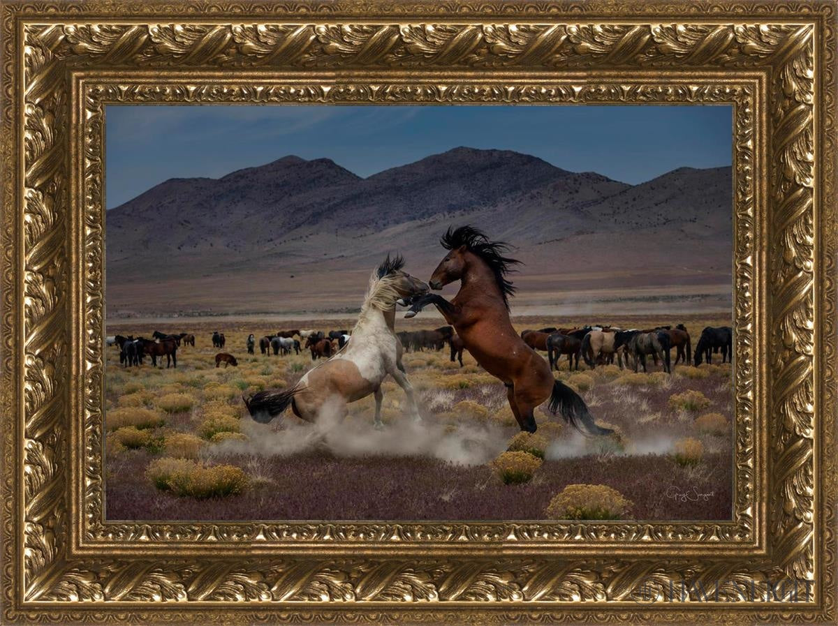 Desert Duel 5 by Greg Sargent - Western Action Novel - Perfect for Book Clubs & Cowboy Adventure Fans