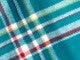 Sea Green Plaid