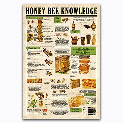 Honey Bee Knowledge 5
