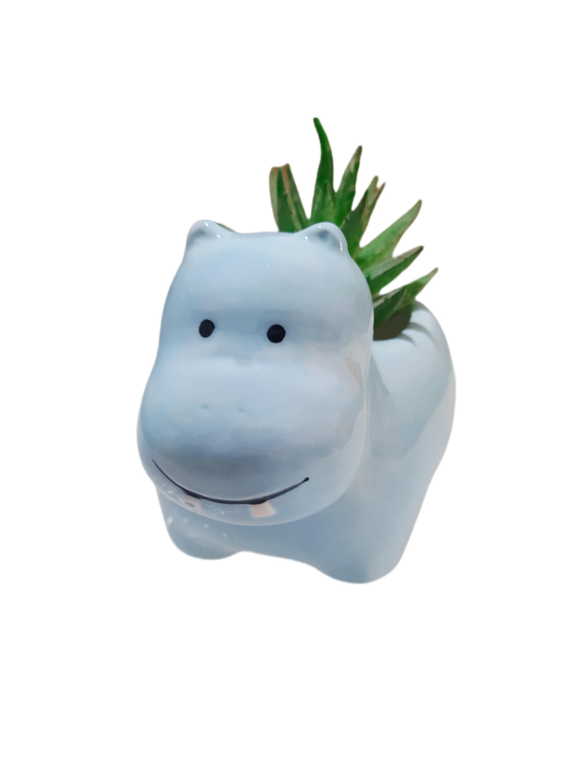 Adorable Hippo-Shaped Ceramic Succulent Planter - Small Cute Animal Flower Pot for Cactus & Plants (Home Decor, Office Desk, Gift Idea)