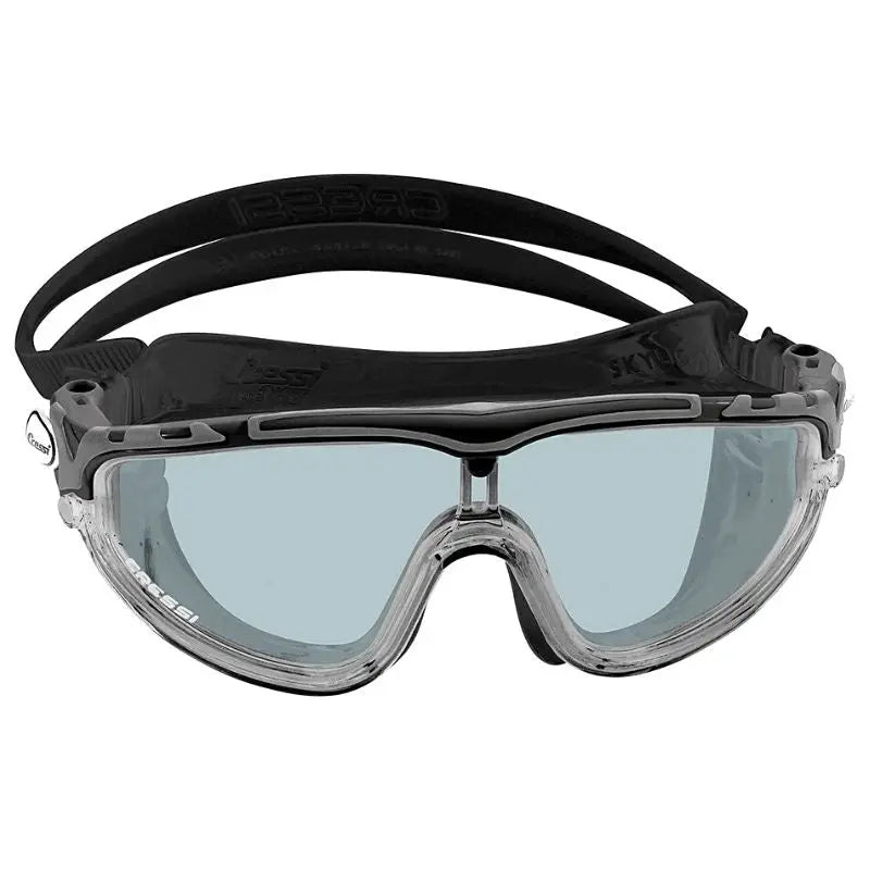 Black/BLACK TINTED LENS