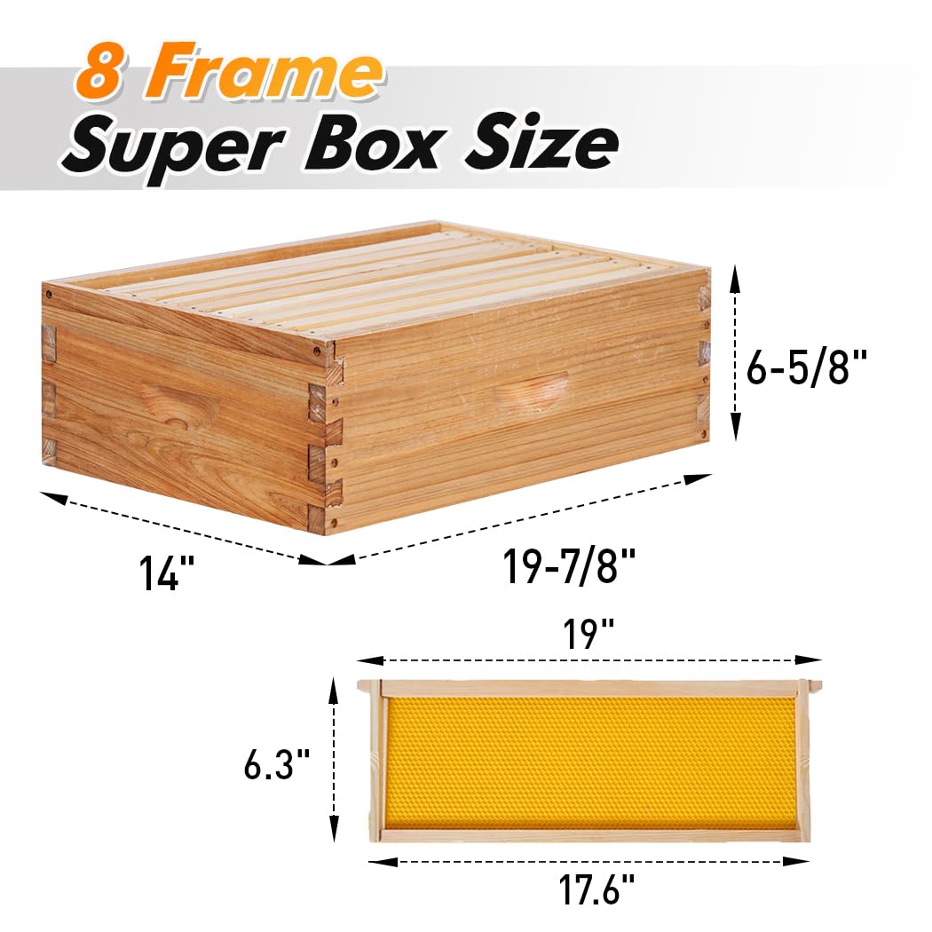 POLLIBEE 8 Frame Beehive Starter Kit - Unassembled Langstroth Bee Hive with 1 Deep & 1 Medium Box, Beeswax Coated Frames & Foundation - Complete Beekeeping Supplies for Beginners | Perfect for Backyard Honey Production & Pollination