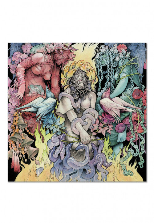 Baroness Stone - Limited Edition Black Vinyl Record | Rock Music Collector's Item for Audiophiles & Home Decor