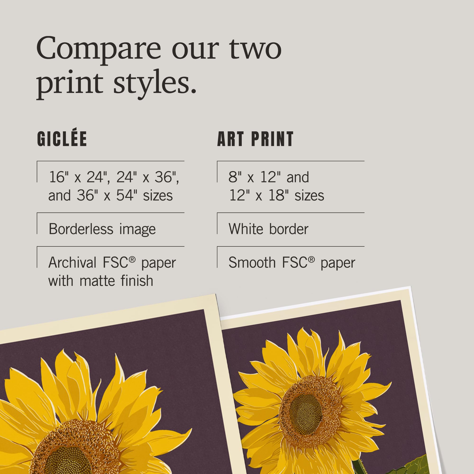 Lantern Press 16x24 Inch Sunflower Giclee Art Print - Premium Letterpress Wall Decor for Living Room, Bedroom & Office