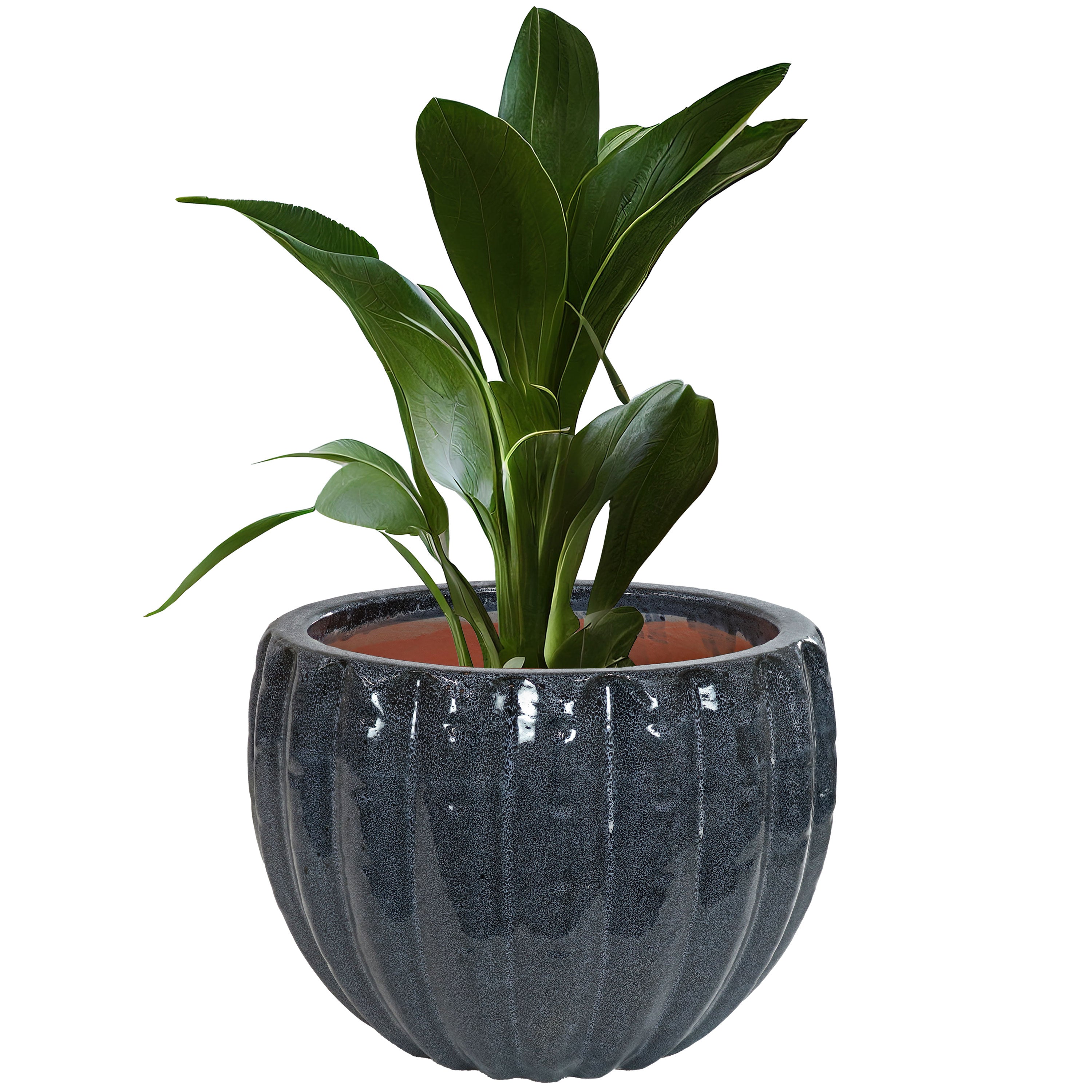 Sunnydaze 13.5 Inch Fluted Ceramic Flower Pot - Black Mist Finish for Indoor & Outdoor Plants, Home & Garden Decor