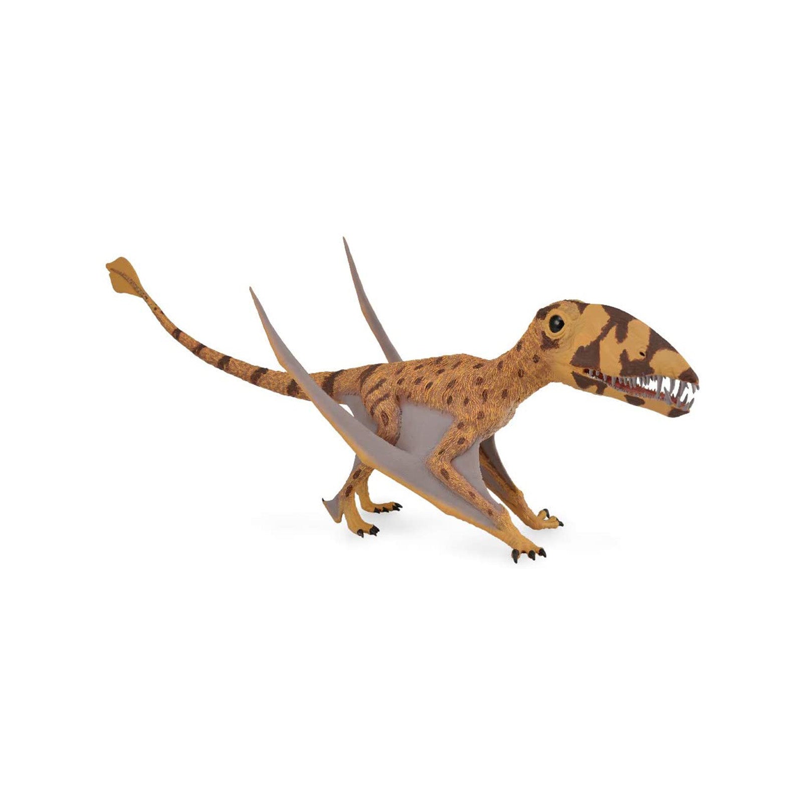 CollectA Dimorphodon Dinosaur Figure 88798 - Realistic Prehistoric Flying Reptile Toy for Kids & Collectors - Perfect for Dinosaur Play, Educational Learning & Display