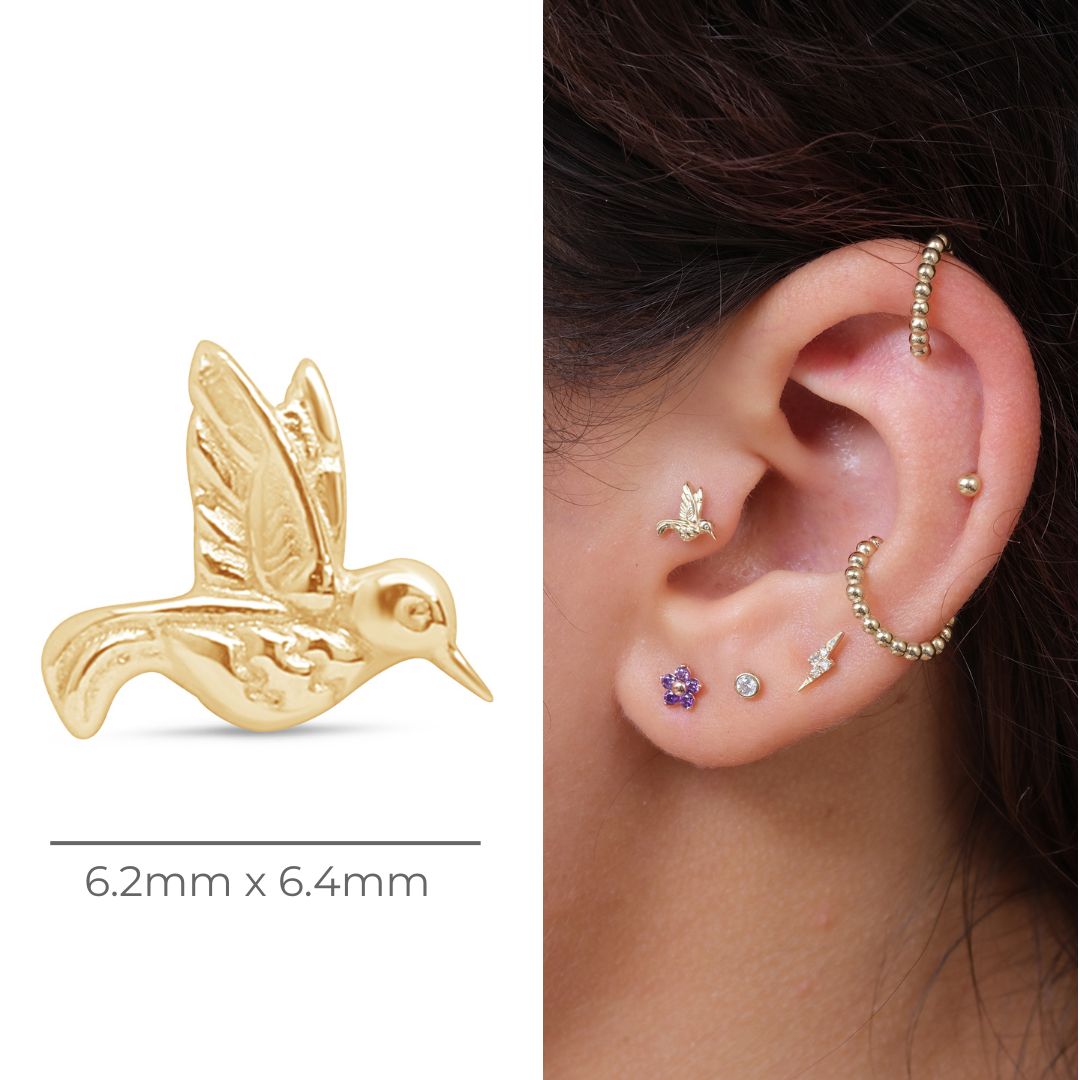 14k Yellow Gold Hummingbird Flat Back Stud Earrings - Dainty & Elegant Jewelry for Everyday Wear, Gifts & Special Occasions