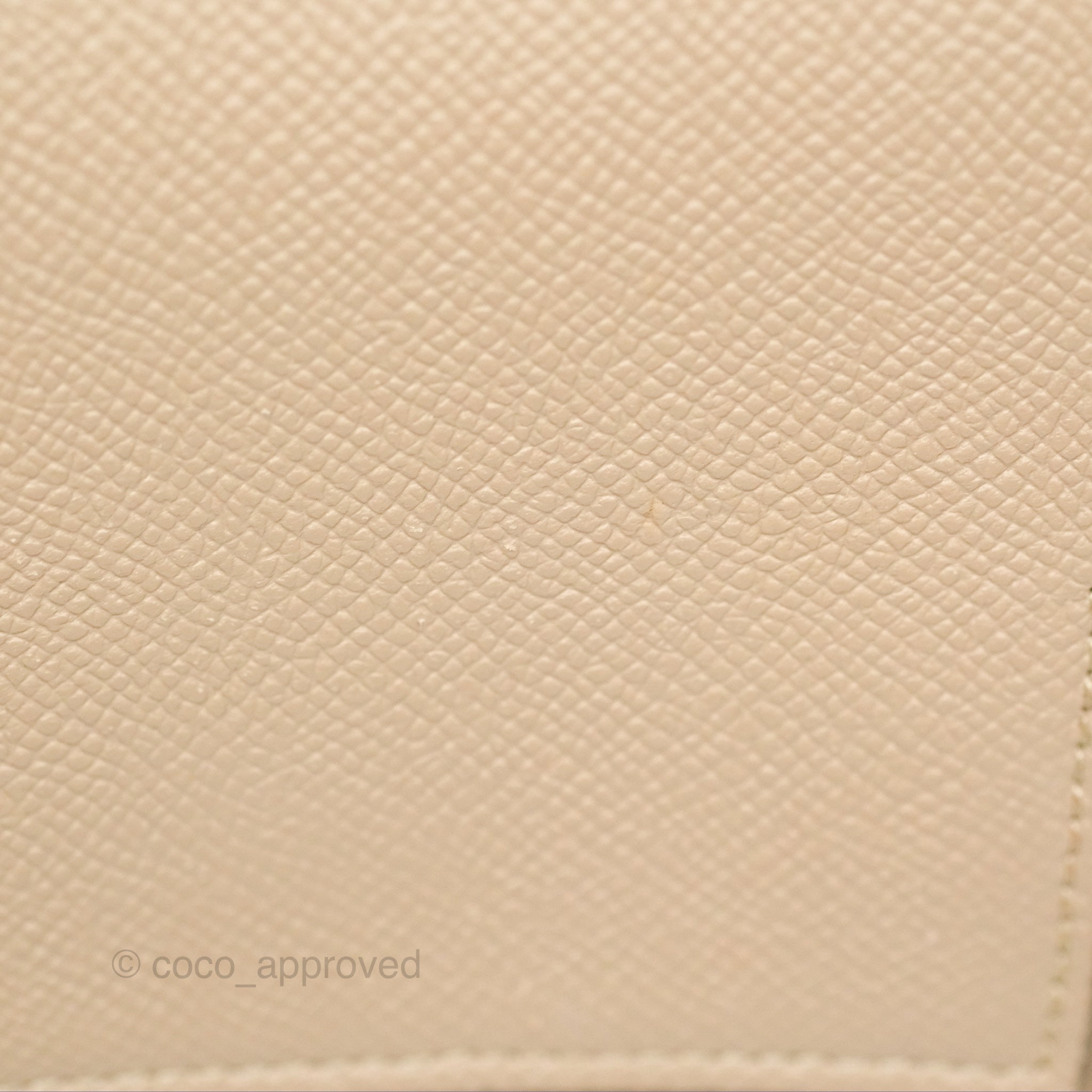Celine Nano Belt Bag in Light Taupe Grained Calfskin with Gold Hardware - Perfect for Everyday Use, Work, and Travel
