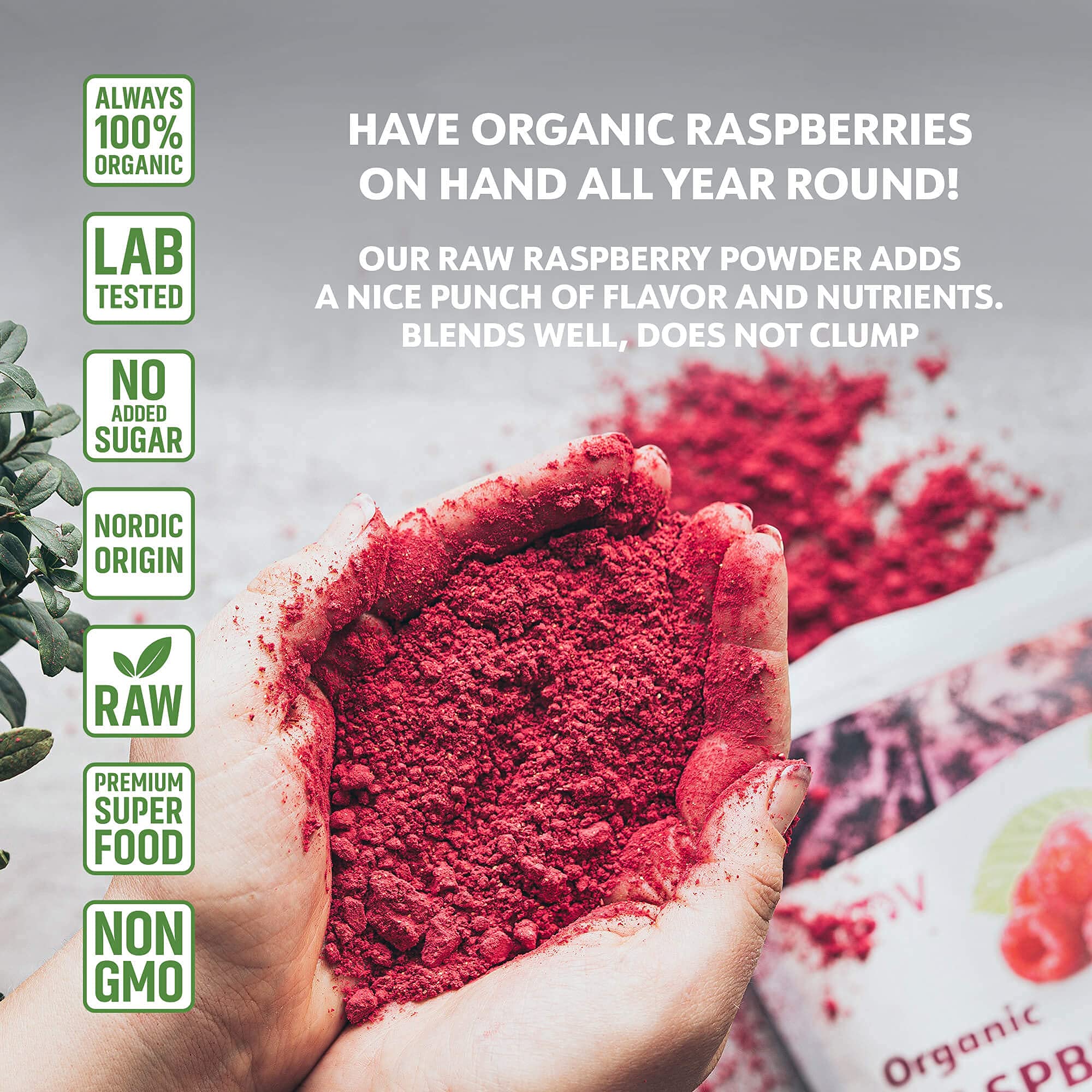 Organic Superfood Powder Bundle - LOOV Wild Blueberry, Raspberry, Blackcurrant & Cranberry Powder | Antioxidant-Rich for Smoothies, Baking & Healthy Recipes
